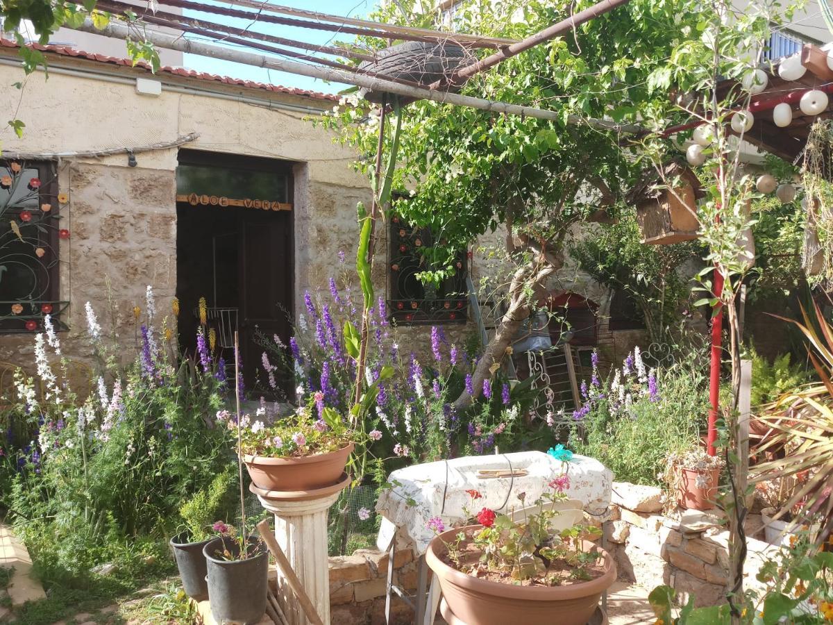 Mystery Garden Guest House Famaguszta Kültér fotó
