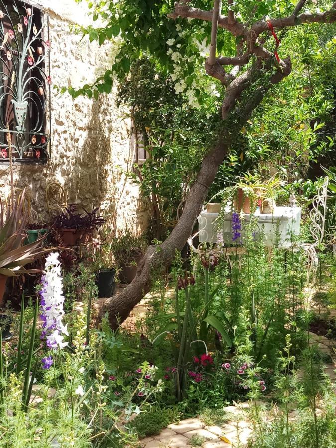 Mystery Garden Guest House Famaguszta Kültér fotó