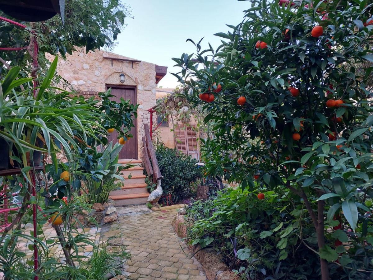 Mystery Garden Guest House Famaguszta Kültér fotó