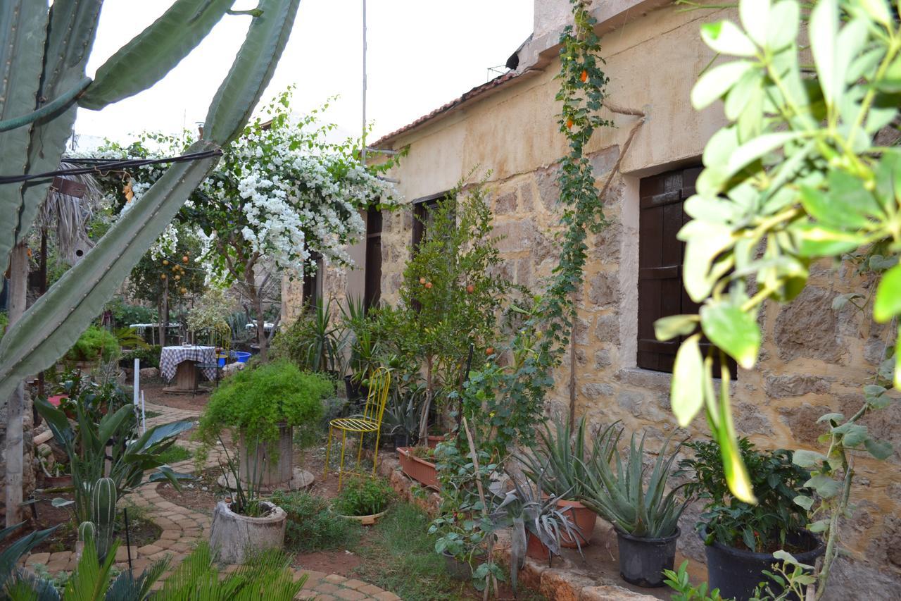 Mystery Garden Guest House Famaguszta Kültér fotó