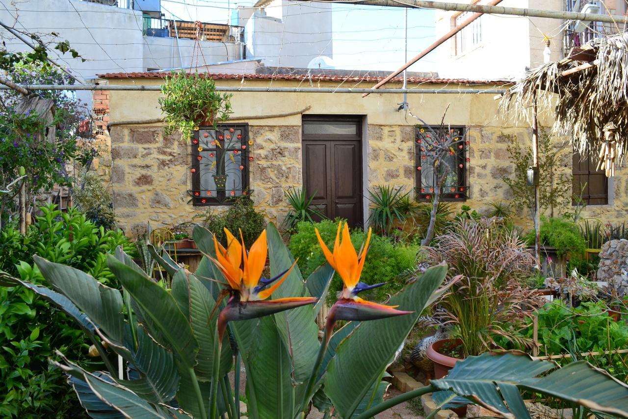 Mystery Garden Guest House Famaguszta Kültér fotó