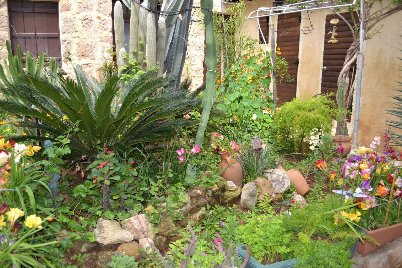 Mystery Garden Guest House Famaguszta Kültér fotó