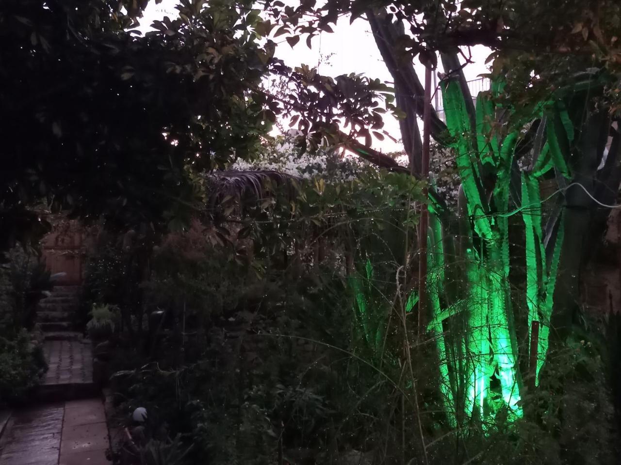 Mystery Garden Guest House Famaguszta Kültér fotó
