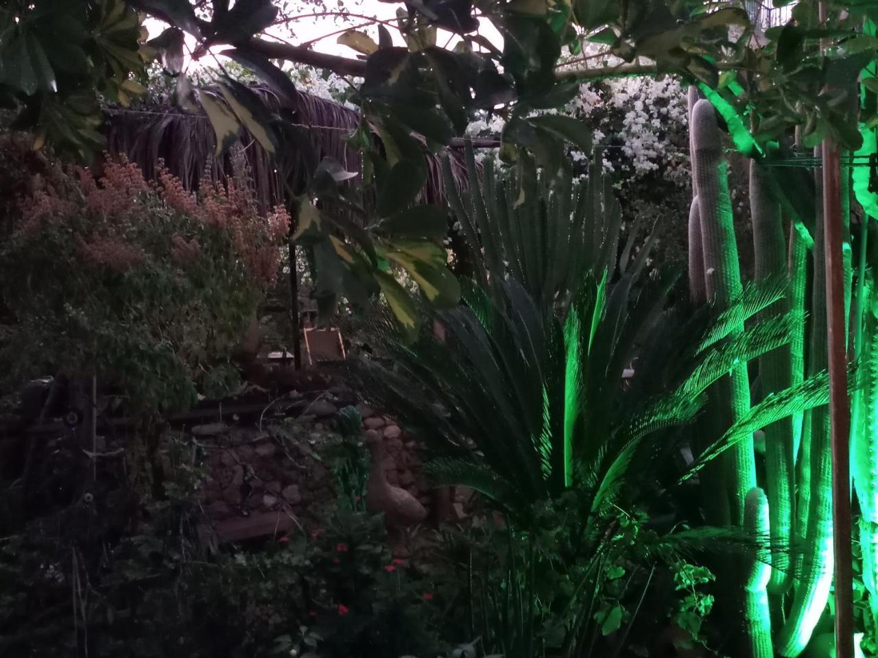 Mystery Garden Guest House Famaguszta Kültér fotó