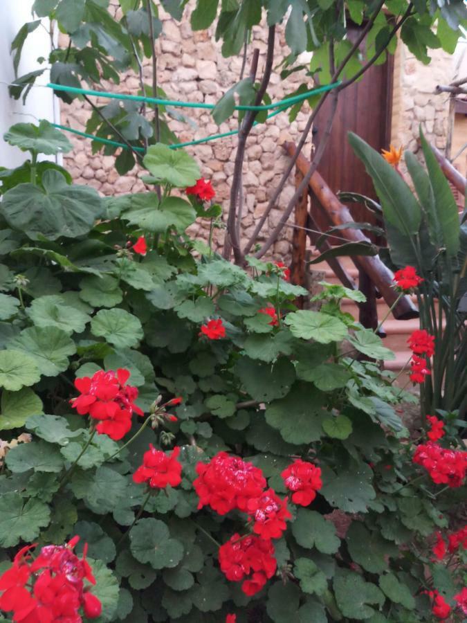 Mystery Garden Guest House Famaguszta Kültér fotó